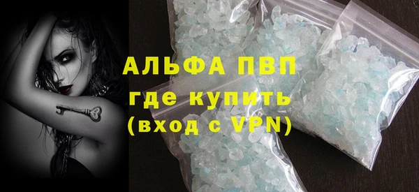 спайс Богданович