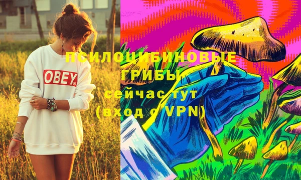 спайс Богданович