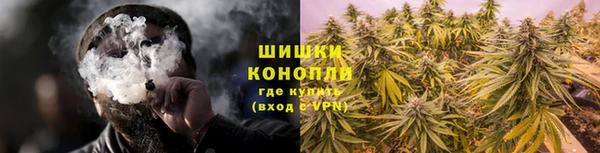 apvp Богородицк