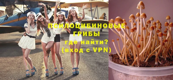 спайс Богданович