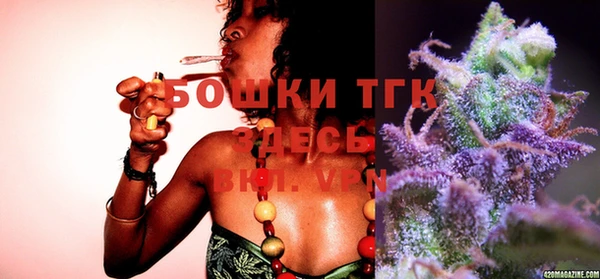 спайс Богданович