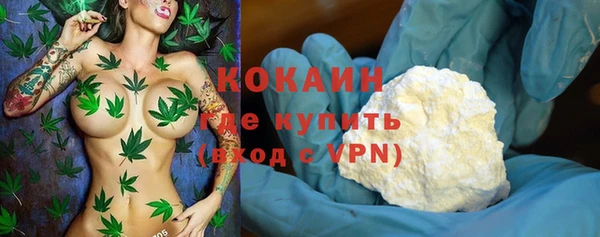 спайс Богданович